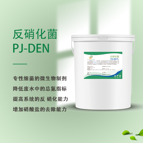 反硝化菌 PJ-DEN