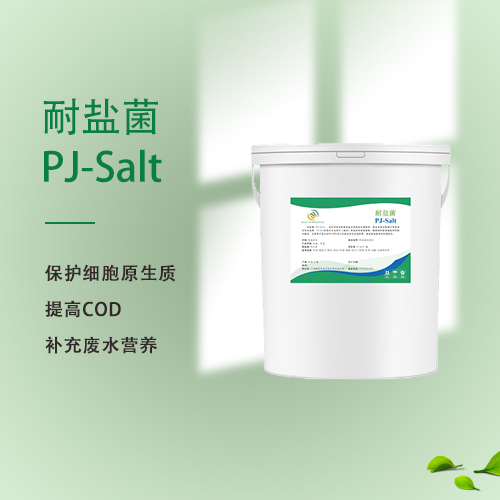 耐盐菌PJ-Salt