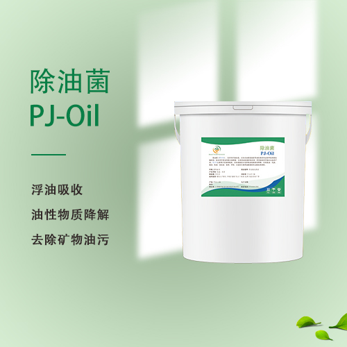除油菌PJ-Oil