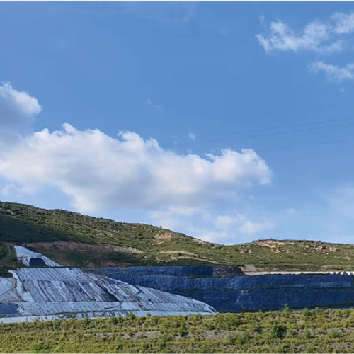 垃圾渗滤液硝化/反硝化系统恢复