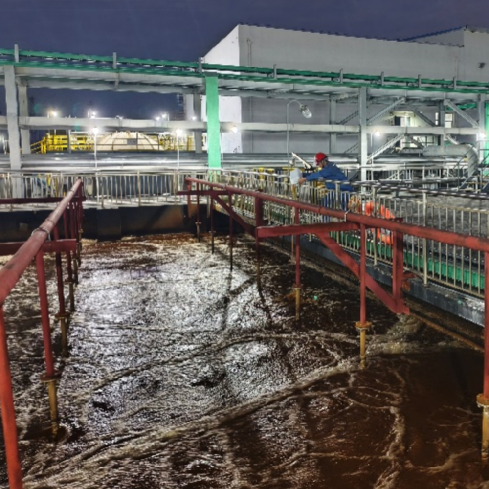 某煤化工合成材料基地污水处理厂生物增效项目