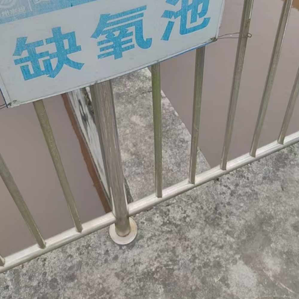 西南某水投水务集团下属污水处理厂总氮去除项目